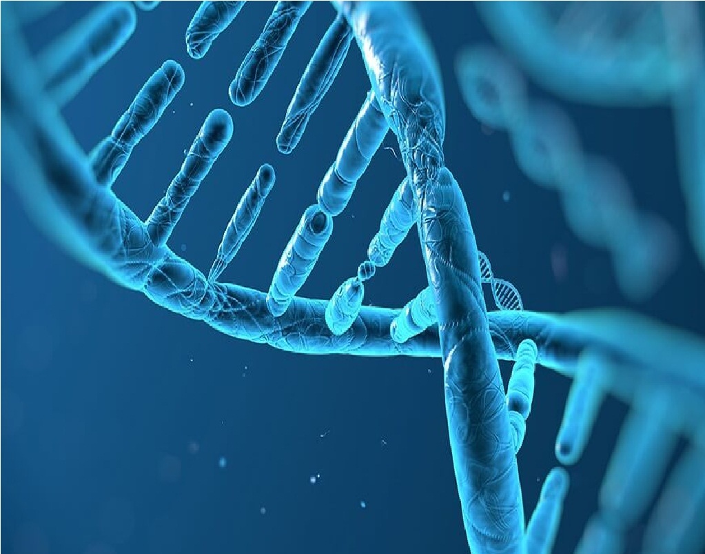 Preimplantation Genetic Testing